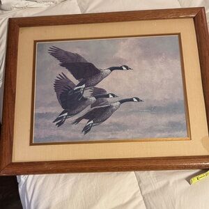 Framed Signed Goose Art Print